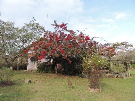 Pousada Sitio Da Serra Carrancas Exterior photo